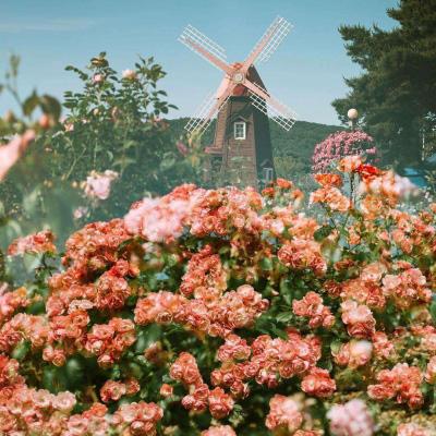 鸭脖app下载app下载截图